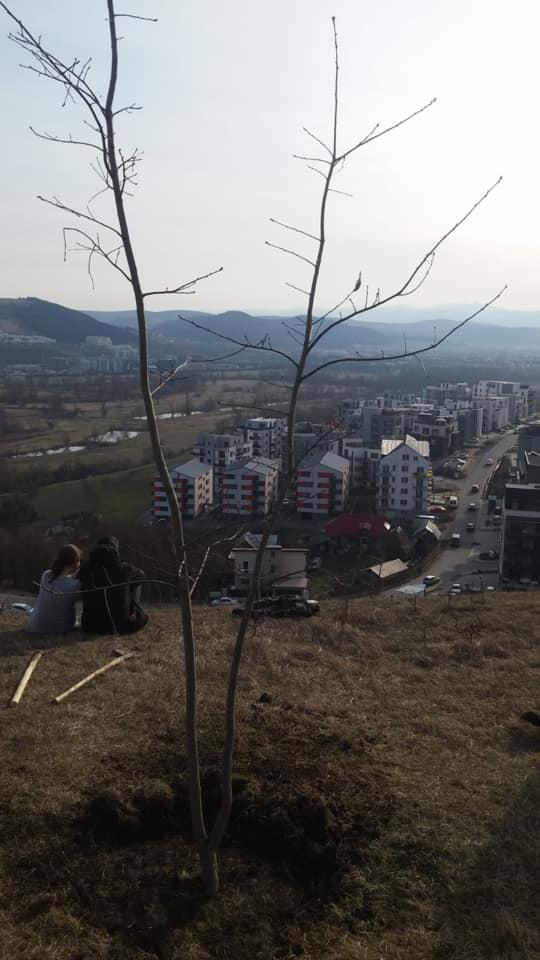 Poza noua 24.03.2019
