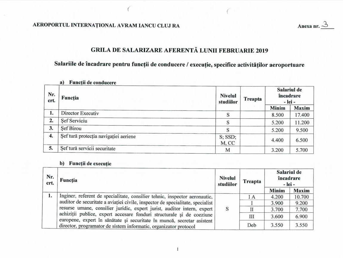 Ciceo: "Unii membrii din Consiliul Administrativ blochează activitatea aeroportului". CJ contrazice:"Minţiţi, minţiţi, minţiţi"