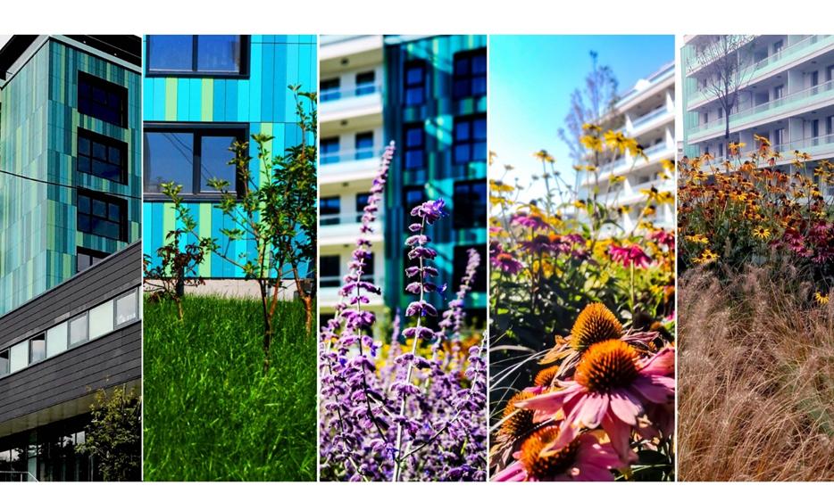 Treci pe verde la Cluj! Alege să investeşi într-o locuinţă care are grijă de tine