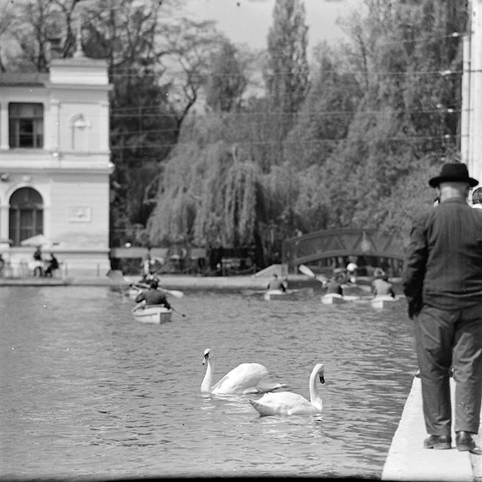 Parcul Central, o filă vie din istoria Clujului. Cum s-a dezvoltat în cele două secole de existență