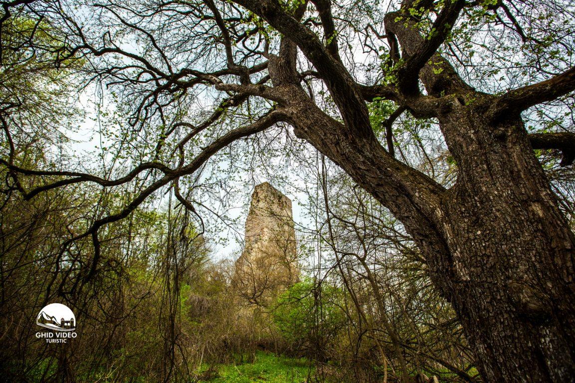 Castelul Ciorii, o bijuterie arhitecturală la doi paşi de Cluj. Ce mai puteţi vizita în zonă