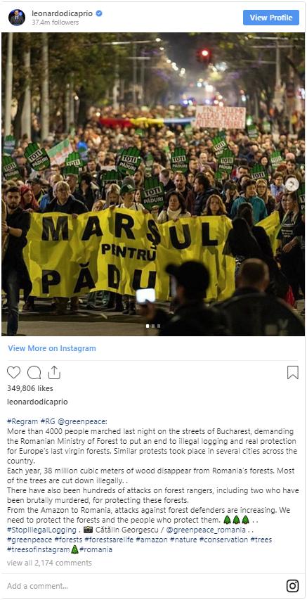 Leonardo DiCaprio, imagine pe Instagram de la protestul pentru păduri din România