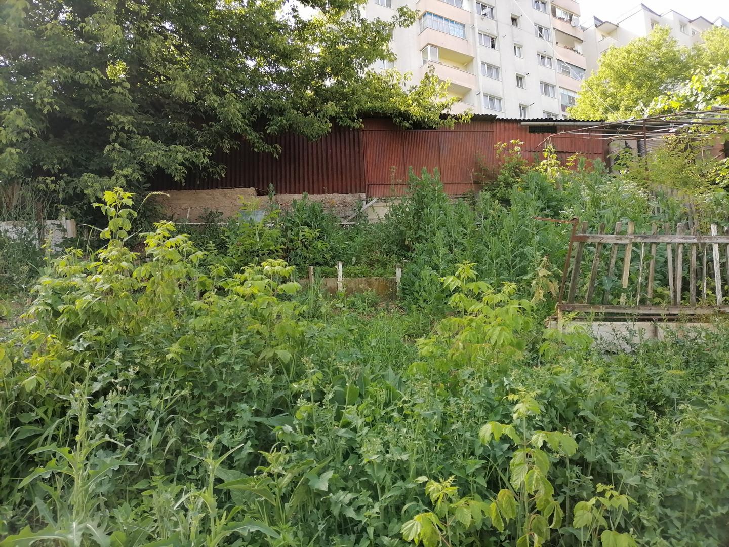Cel mai cel garaj din Cluj: "Un neamț nu ar putea face asta, un francez nu, dar un român da!"