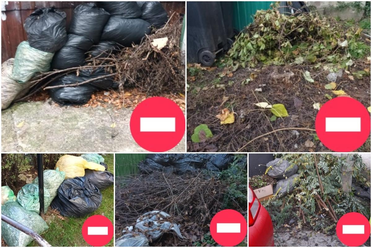 În atenția asociațiilor de proprietari din Cluj-Napoca: Colectare suplimentară a deșeurilor vegetale rezultate în urma activităților de întreținere a 
