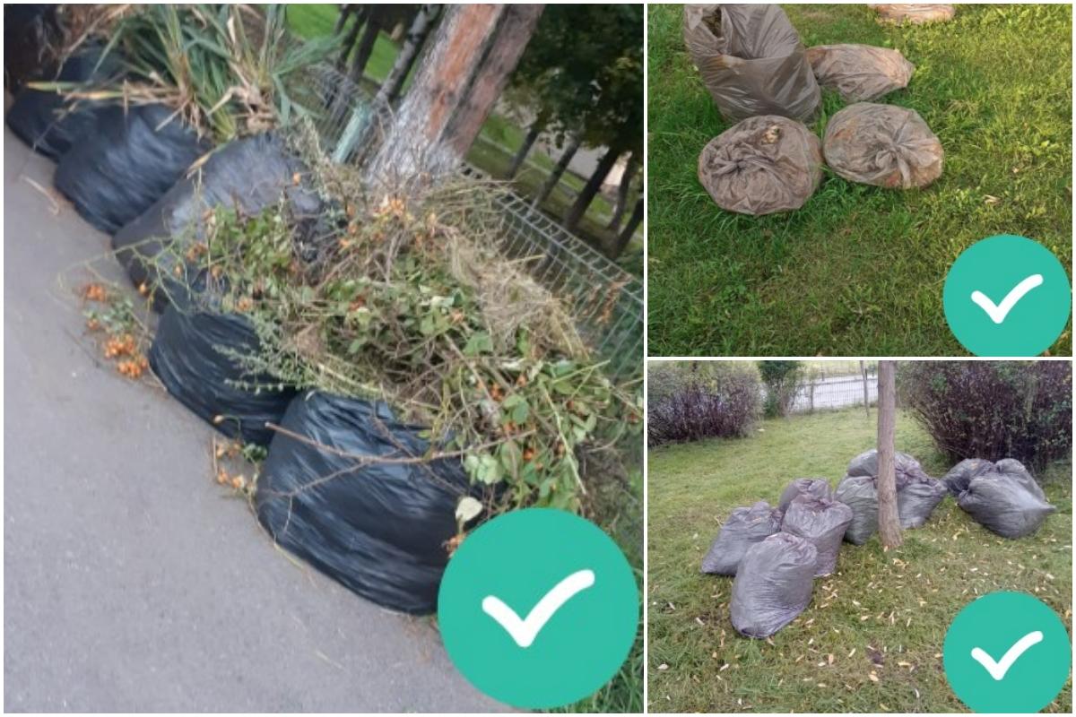 În atenția asociațiilor de proprietari din Cluj-Napoca: Colectare suplimentară a deșeurilor vegetale rezultate în urma activităților de întreținere a 