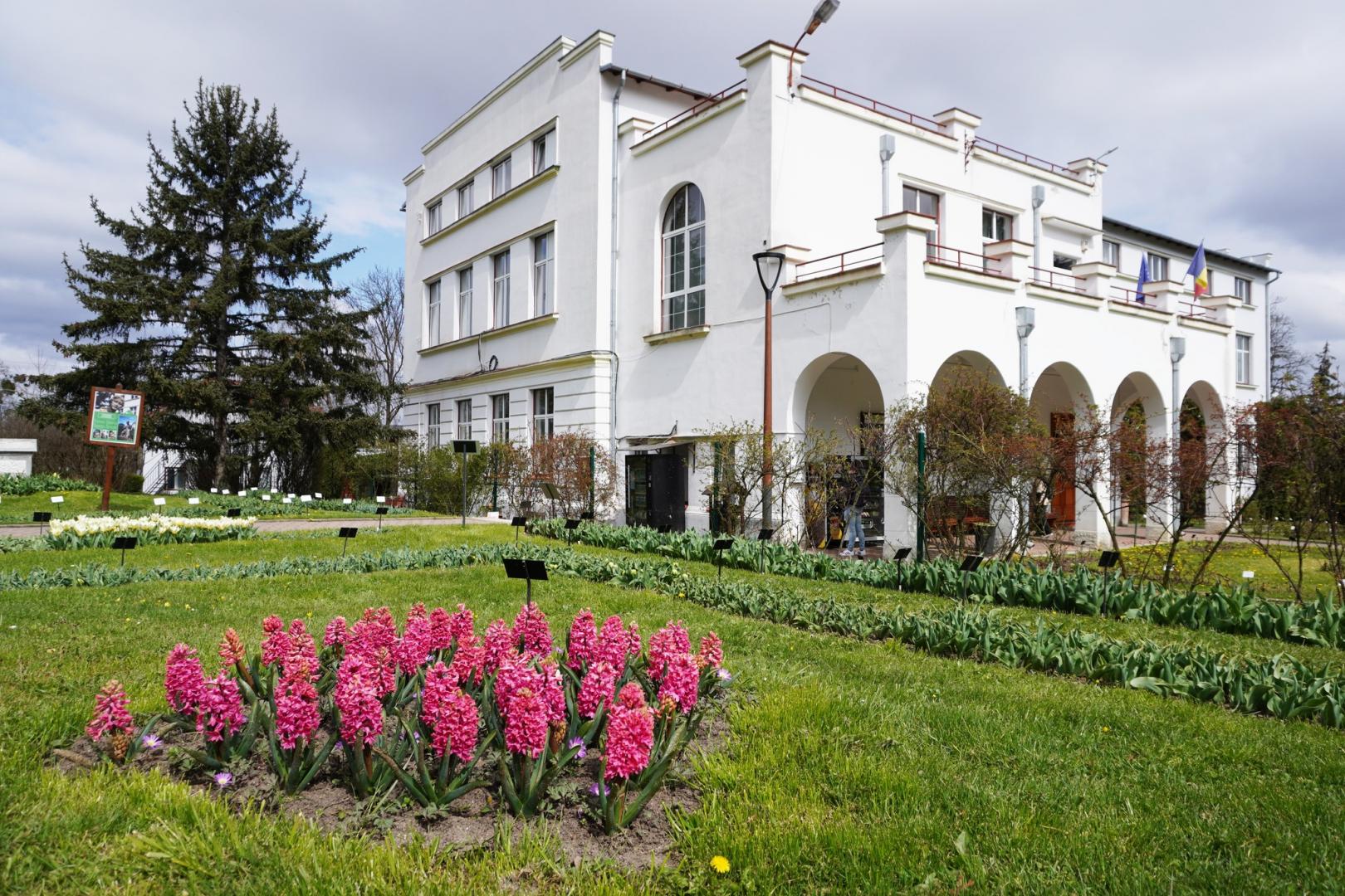 IMAGINI SUPERBE din Grădina Botanică a Clujului. E deschisă și de Paște!