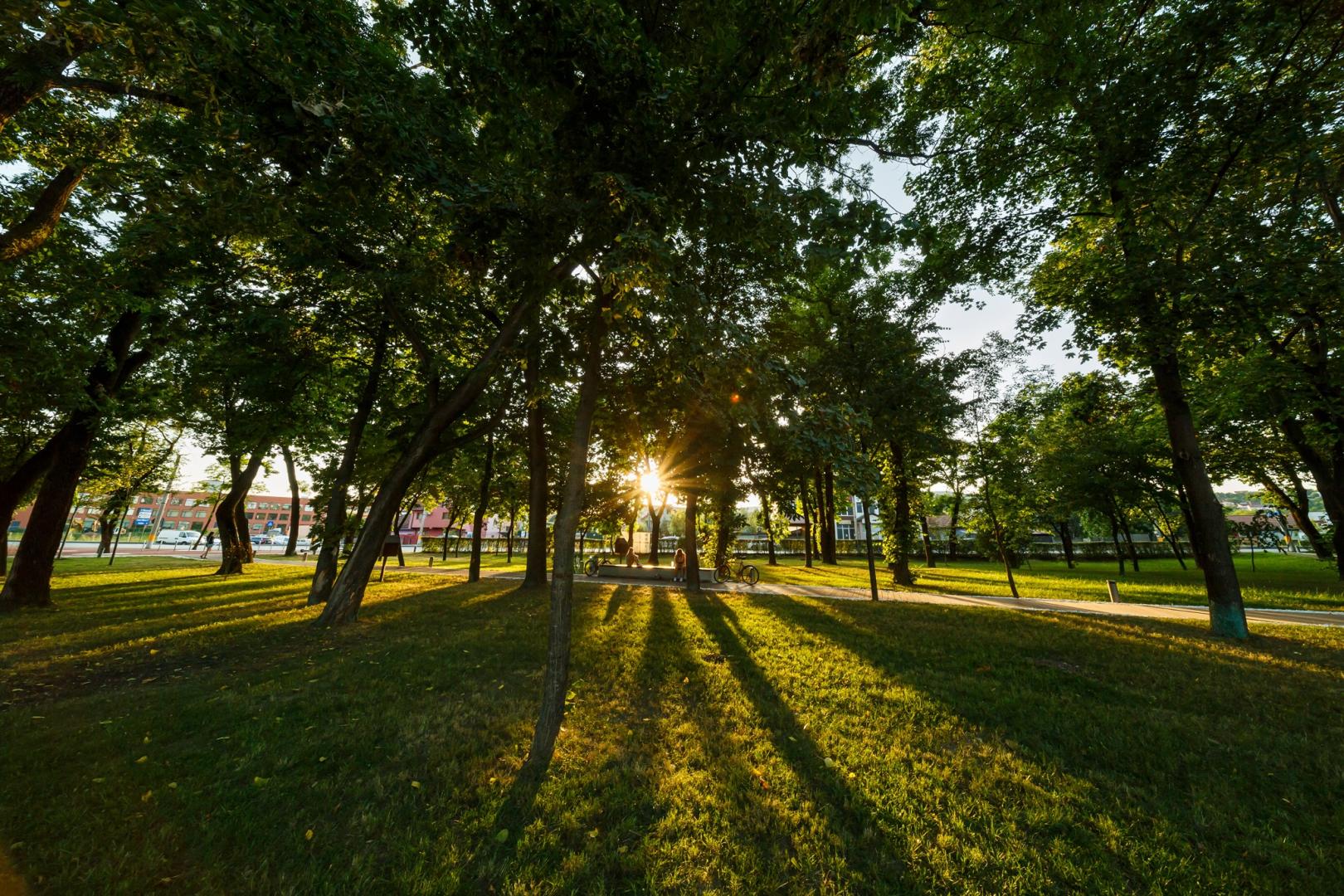 Parcul Armătura, punct de atracție pentru clujeni în primul weekend de după inaugurare