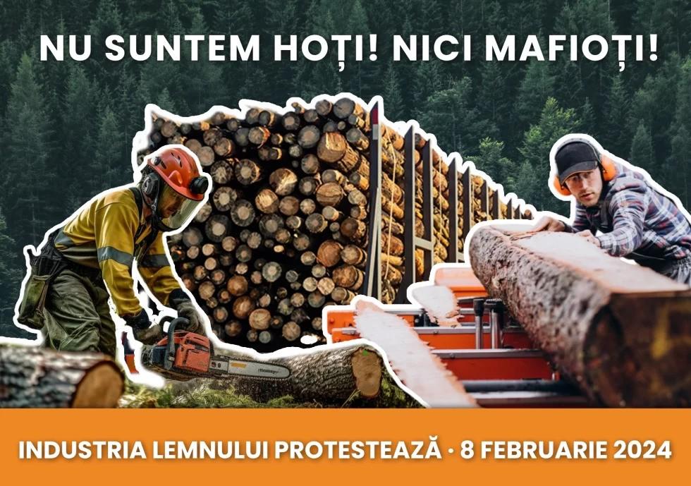 Reprezentanții din industria lemnului protestează azi în mai multe orașe din România. Ce revendicări au
