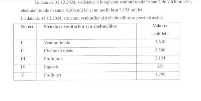 Profit de jumătate de milion de euro pentru BT Arena în 2024. De unde vin banii
