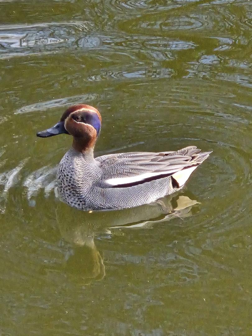Ce avem noi aici? Noutăți &icirc;n Parcul Mare :)