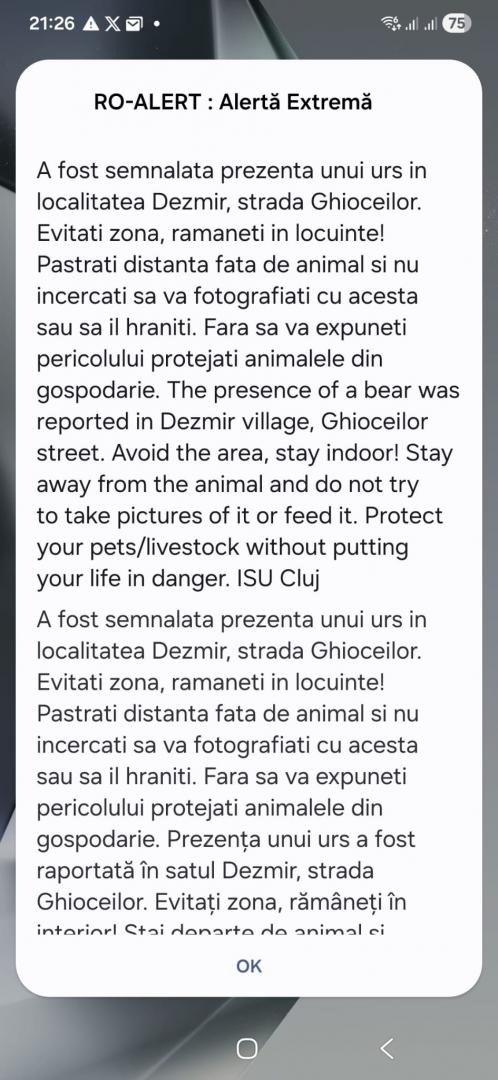 Alertă ISU! Urs pe străzile din Dezmir