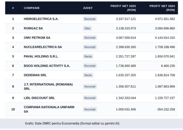 Topul celor mai profitabile companii din Rom&acirc;nia. Banca Transilvania și afacerile fraților Pavăl, printre lideri / Cine face cei mai mulți bani