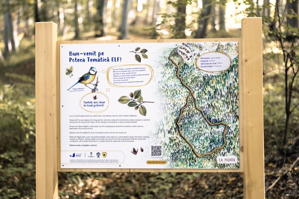 De la școală &icirc;n Pădurea Făget: Cum a prins contur Poteca tematică ELF, care așteaptă clujenii să &icirc;nvețe mai multe despre natură