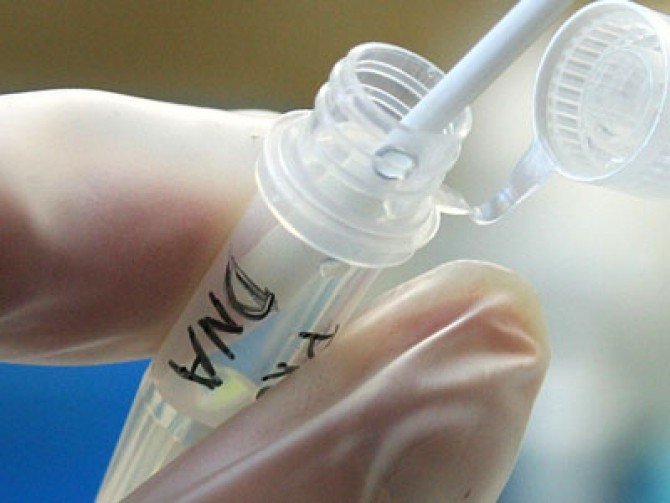 Inteligenţa poate fi evaluată, de acum, cu ajutorul unui simplu test ADN