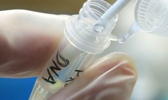 Inteligenţa poate fi evaluată, de acum, cu ajutorul unui simplu test ADN