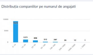 Clujul, pe locul trei în țară la firme cu split TVA