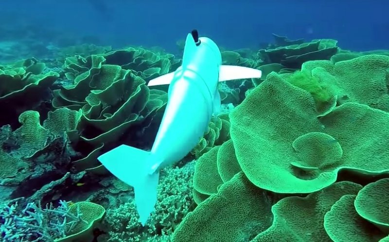 Peşte robotic pentru a studia oceanele. Între creatori se numără și un clujean