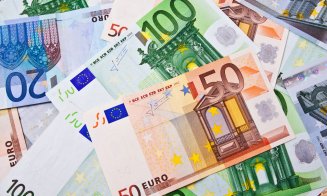 Norica Nicolai: Nu suntem pregătiţi pentru a accede la moneda euro