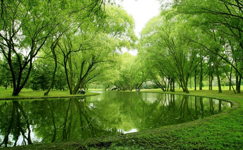 Se pregătește apariția celui mai mare parc al Clujului