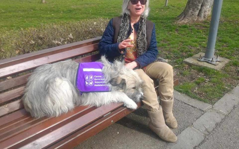 Kratu, metisul mioritic abandonat în România, care a devenit câine de terapie pentru stăpâna lui
