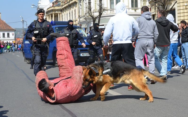 Ziua Jandarmeriei închide traficul rutier în Unirii: exerciţii demonstrative şi prezentarea tehnicii din dotare