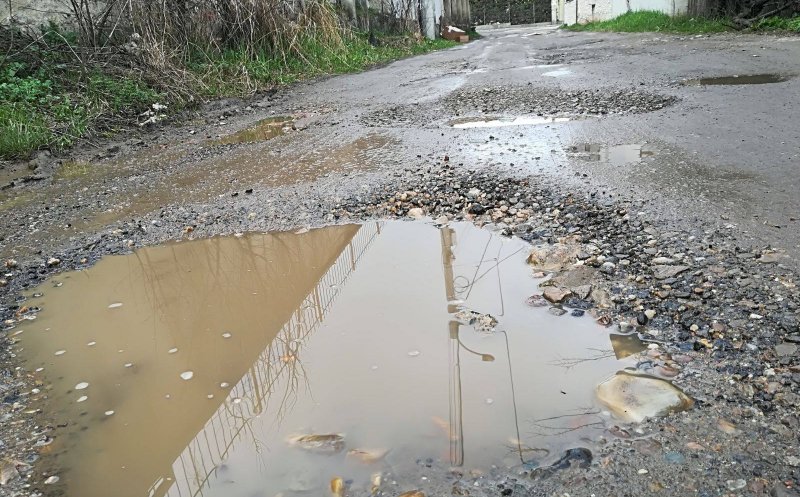 Preşedintele PSD Cluj: Va asfalta 'Antonia' strada de cinci stele `În jurul Lacului`?