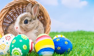 Ce caută iepuraşul şi ouăle de Paşte în tradiţia creştină? Răspunsul vine din istorie