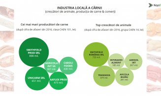 Clujul și Bucureștiul domină piața cărnii în România