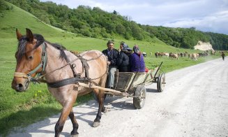 Românii cer 2 miliarde de euro ca să își modernizeze comunele