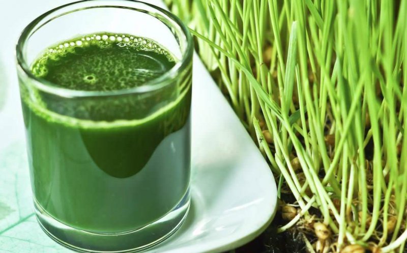 De ce să ții cura de detoxificare cu orz verde