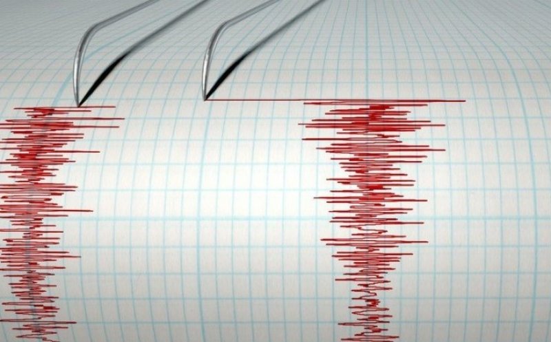 Cutremur de 4,5 grade pe scara Richter în Vrancea