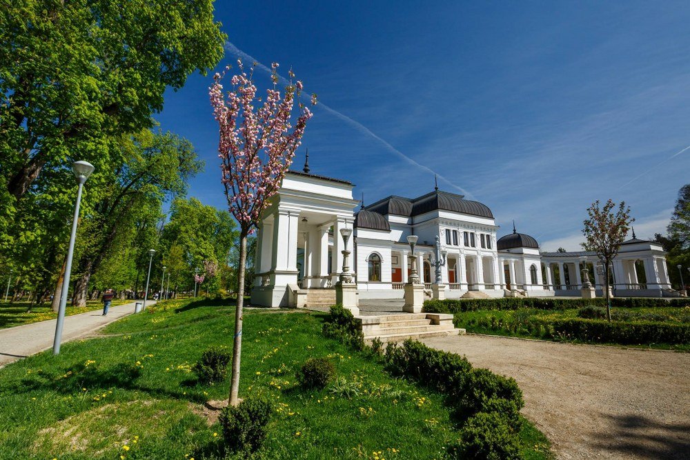 Clujul verde s-a îmbogăţit cu 1.000 de arbori. În ce zone s-au făcut plantări
