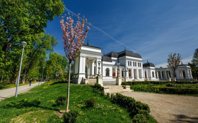 Clujul verde s-a îmbogăţit cu 1.000 de arbori. În ce zone s-au făcut plantări