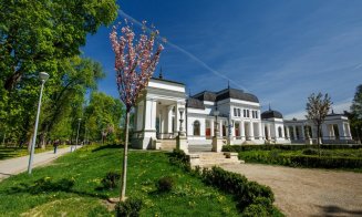 Clujul verde s-a îmbogăţit cu 1.000 de arbori. În ce zone s-au făcut plantări