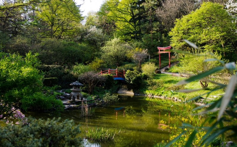 Agenda de weekend: 27 – 29 aprilie