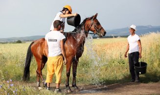 "Maratonul cailor", la Salina Equines din Cluj.  Peste 40 de cai şi călăreţi se întrec pe 120 de km