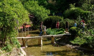 Sute de clujeni şi-au petrecut duminica în Grădina Botanică. Intrarea a fost gratuită pentru cei ce aveau la ei o carte