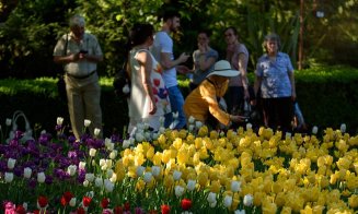 Sute de clujeni şi-au petrecut duminica în Grădina Botanică. Intrarea a fost gratuită pentru cei ce aveau la ei o carte