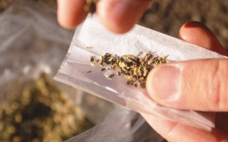 S-au drogat cu etnobotanice şi au intrat cu maşina în gard
