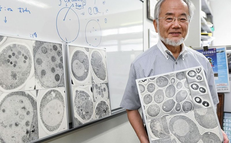 Dieta pentru care un japonez a primit Premiul Nobel