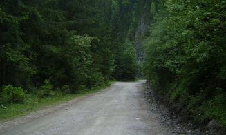 Lucrări de întreținere pe un drum de munte din Cluj