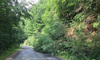 Alunecări de pământ şi arbori căzuţi pe un drum de munte din Cluj