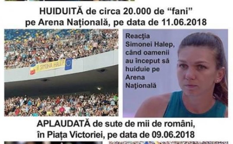 După ce "le-a sărit tot internetul în cap", Dragnea l-a concediat pe creierul manipularii online a PSD cu Simona Halep