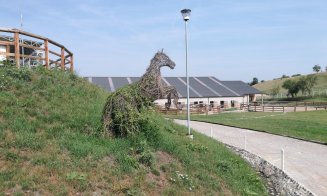 Investiţie de 3 milioane euro la Salina Equines. Familia Regală a României şi reprezentanţi ai Casei Regale Britanice, la SEHT 2018