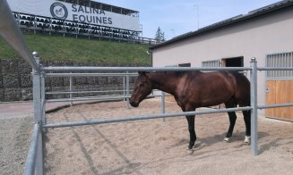 Investiţie de 3 milioane euro la Salina Equines. Familia Regală a României şi reprezentanţi ai Casei Regale Britanice, la SEHT 2018