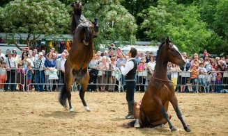 Biletele pentru spectacolele Salina Equines Horse Trophy s-au pus în vânzare