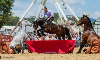 Biletele pentru spectacolele Salina Equines Horse Trophy s-au pus în vânzare
