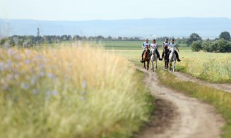 Cai, competiţie, mâncare tradiţională şi distracţie, în weekend la Salina Equines
