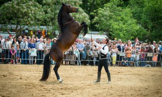 Biletele pentru spectacolele Salina Equines Horse Trophy s-au pus în vânzare