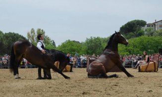 Biletele pentru spectacolele Salina Equines Horse Trophy s-au pus în vânzare